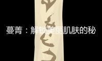 蔓菁：解鎖美麗肌膚的秘密武器