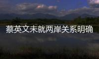 蔡英文未就兩岸關(guān)系明確表態(tài) 兩岸產(chǎn)業(yè)搭橋恐中斷