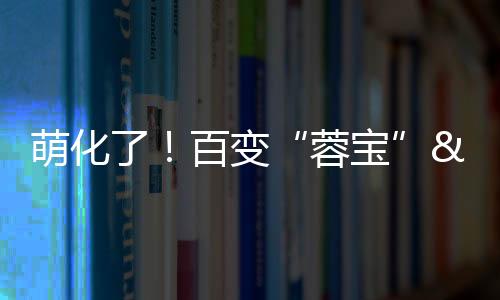 萌化了！百變“蓉寶” 時尚來襲