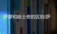 薩摩和哈士奇的區(qū)別(薩摩和哈士奇的關系)