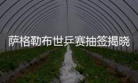 薩格勒布世乒賽抽簽揭曉 中國隊無緣包攬男單四強