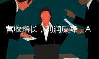 營收增長，利潤反降，AI服務器廠商的“冰火兩重天”