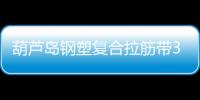 葫蘆島鋼塑復合拉筋帶30020C規格齊全