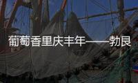 葡萄香里慶豐年——勃艮第“榮耀三日”