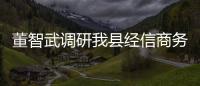 董智武調研我縣經信商務工作