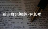 董潔身穿薄紗粉色長裙 "神仙姐姐"氣質十足!