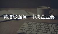 蔣潔敏強調：中央企業要切實抓好安全工作