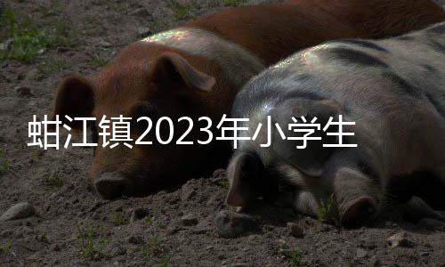 蚶江鎮2023年小學生田徑運動會開幕