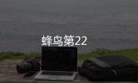 蜂鳥第22