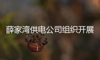 薛家灣供電公司組織開展用戶資產(chǎn)現(xiàn)場(chǎng)核查工作