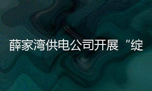 薛家灣供電公司開展“綻放新時代光芒 讓雷鋒精神永續”主題志愿活動