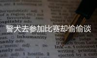 警犬去參加比賽卻偷偷談戀愛，懷著6個娃竟拿了第一，卷死狗了！