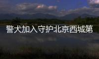 警犬加入守護北京西城第一線 無言戰友護航西城安全