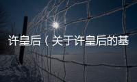 許皇后（關于許皇后的基本情況說明介紹）