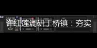 許紅蓮調研丁橋鎮：夯實產業基礎推進城鄉融合 推動高質量發展取得新突破