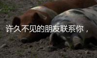 許久不見的朋友聯系你，該怎么辦...