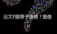 論文P圖等于造假？圖像處理你踩過多少“雷”—新聞—科學網