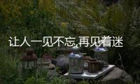 讓人一見不忘,再見著迷的星座