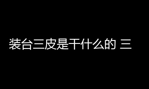 裝臺三皮是干什么的 三皮的最后結局是什么