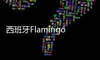 西班牙Flamingo俱樂部酒店，優雅獨特，自成一派（組圖）