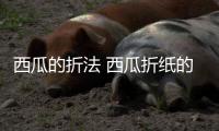 西瓜的折法 西瓜折紙的折法