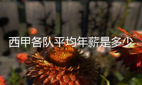 西甲各隊(duì)平均年薪是多少？足球運(yùn)動(dòng)員薪水怎么定的？