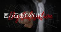 西方石油(OXY.US)德州直接空氣捕獲中心獲美國能源部高達5億美元資助