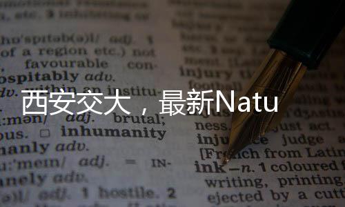 西安交大，最新Nature! – 材料牛