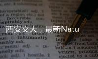 西安交大，最新Nature! – 材料牛