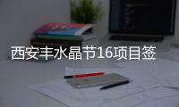 西安豐水晶節16項目簽約2.8億元,行業資訊