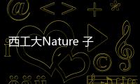 西工大Nature 子刊：新思路，讓共晶合金既強又塑 – 材料牛