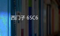 西門子 6SC6