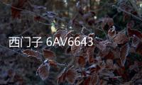 西門子 6AV6643