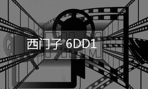 西門子 6DD1