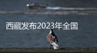 西藏發布2023年全國碩士研究生考試相關提醒