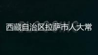 西藏自治區拉薩市人大常委會副廳級干部林生接受審查調查