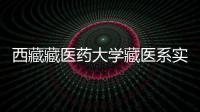 西藏藏醫(yī)藥大學(xué)藏醫(yī)系實施“攀登者計劃”打造黨建高地