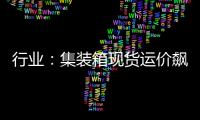 行業：集裝箱現貨運價飆升是對紅海改道的過度反應嗎?