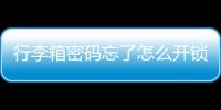 行李箱密碼忘了怎么開鎖沒有凹槽（行李箱密碼忘了怎么開）