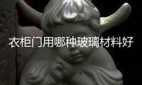 衣柜門用哪種玻璃材料好  玻璃衣柜門用什么材質的好,行業資訊