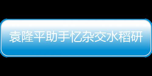 袁隆平助手憶雜交水稻研究：發現“野敗”是鍥而不舍的結果