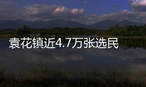 袁花鎮近4.7萬張選民證陸續發放