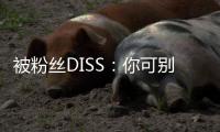 被粉絲DISS：你可別再長胖了，鄭愷回應：我哪里胖了