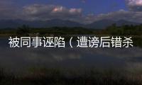 被同事誣陷（遭謗后錯(cuò)殺同事）