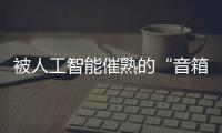 被人工智能催熟的“音箱夢”，格局初顯