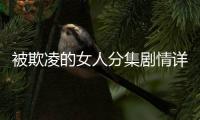 被欺凌的女人分集劇情詳細(xì)介紹1