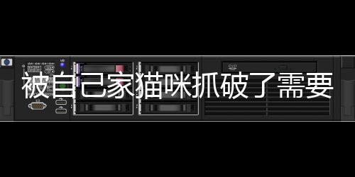 被自己家貓咪抓破了需要打狂犬疫苗嗎(被自己家貓咪抓破了怎么辦)