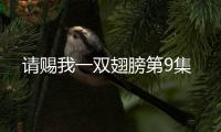 請(qǐng)賜我一雙翅膀第9集