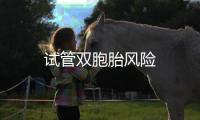 試管雙胞胎風(fēng)險