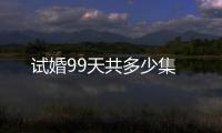 試婚99天共多少集